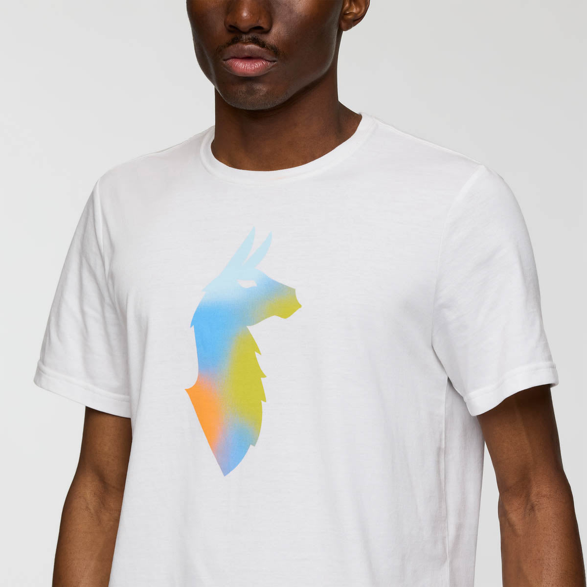 COTF25474M1525WHT  M Bitmap Llama T-Shirt White_004.jpg