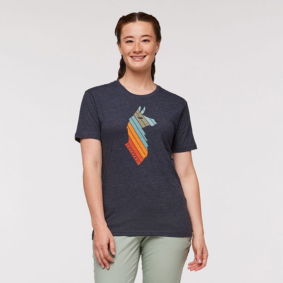 Llama Stripes Organic T-Shirt